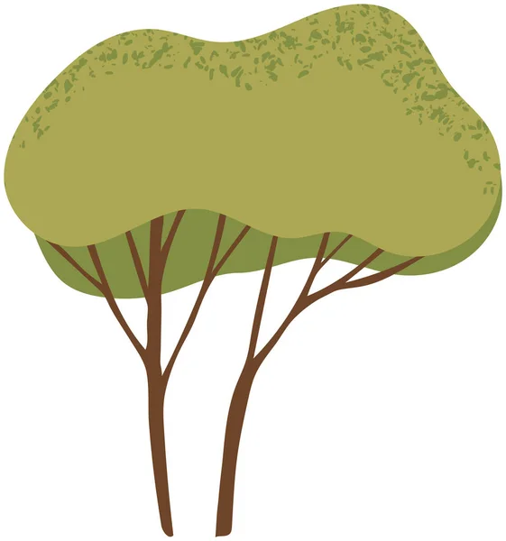 Opadavý strom s kmenem a hustým listím. Vysoká rostlina se široce rozprostřenými větvemi a zelenými listy — Stockový vektor