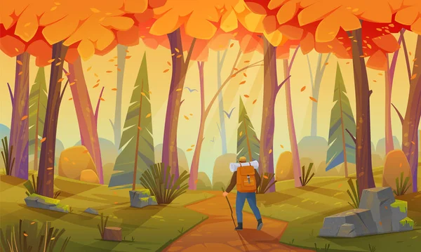 Çadırlı bir yürüyüşçü. Sırt çantalı gezgin sonbahar ormanlarında yürüyüşe çıkıyor.
