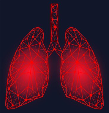 Acı dolu bölgeleri olan çokgen akciğerler. İnsan solunum sistemi organı. Bronşit, zatürree teşhisi