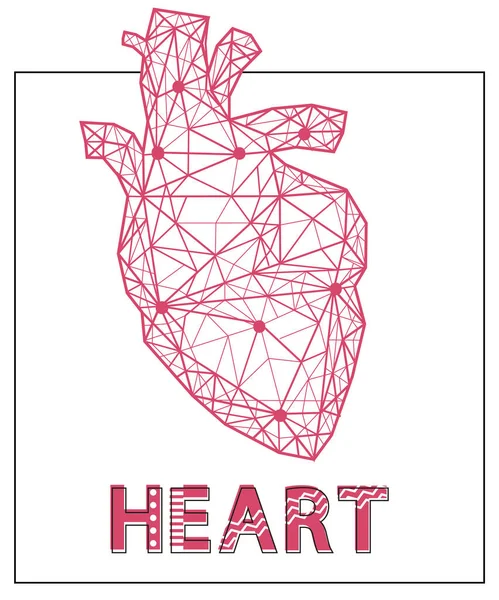 Σύγχρονη απεικόνιση του ανθρώπινου καρδιαγγειακού συστήματος για άντληση αίματος. Πολυγωνική ανθρώπινη καρδιά — Διανυσματικό Αρχείο