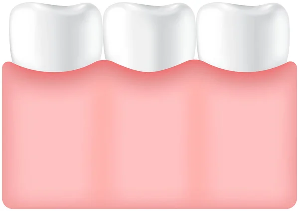 Dientes humanos blancos sanos en chicle. Molares con esmalte en la boca. Icono de símbolo de cuidado e higiene — Archivo Imágenes Vectoriales