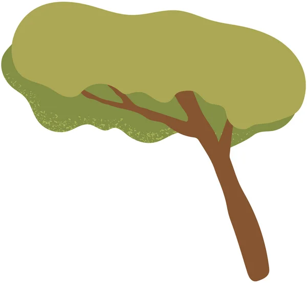 Árbol caduco con tronco y follaje denso. Planta alta con ramas muy extendidas y hojas verdes — Vector de stock