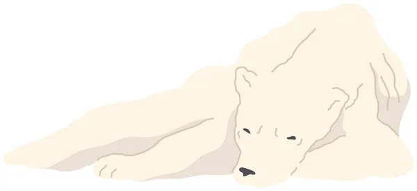 Vertreter der Tierwelt am Nordpol. Raubtier lebt in Arktis. Flauschiger Eisbär beim Ausruhen — Stockvektor