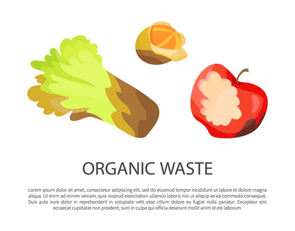 Organic Waste Poster Text Sample Headline Green Salad Lettuce Rotten — Stock Vector
