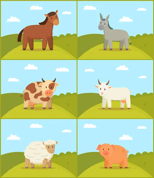 Farm Horse Donkey Cow Pig Goat Sheep Animal Meadow Blue — Stock Vector