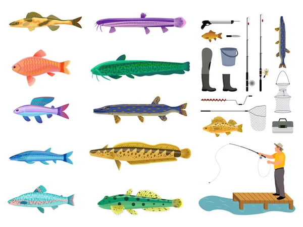 Zestaw Ryb Narzędzi Połowowych Kolekcja Kolor Karty Izolowane Białym Tle — Wektor stockowy