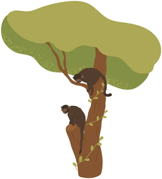 Monos Con Largas Colas Sentados Árbol Representantes Vida Silvestre Selva — Vector de stock