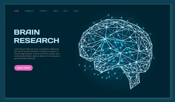 Cerebro Humano Poligonal Hecho Líneas Puntos Investigación Médica Órganos Internos — Vector de stock