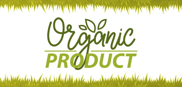 Natural Eco Friendly Organic Useful Vegetable Product Raw Food Vegetarianism — стоковый вектор