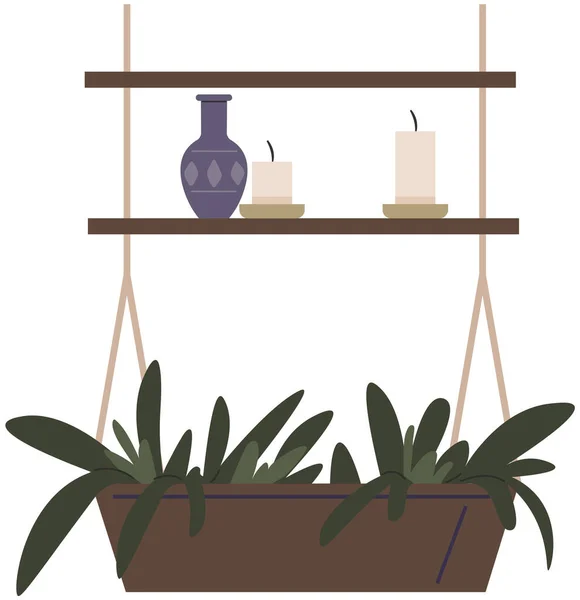 Set Designers Hangers Plants Growing Pots Bundle Hanging Planters Made — Vector de stock