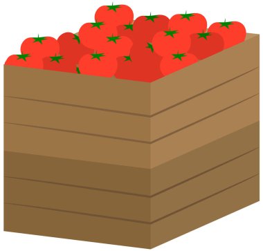 Tomatoes in wooden box. Autumn harvest. Isolated vegetables in container on white background. Eco farm product. Healthy vitamin eating concept, market grocery harvesting. Fresh ripe ogranic food