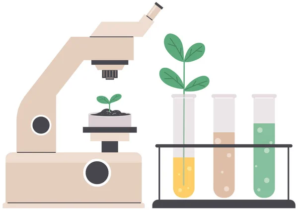 Naukowiec Wykonuje Laboratoryjną Analizę Systemu Życia Organizmów Idea Edukacji Botaniki — Wektor stockowy