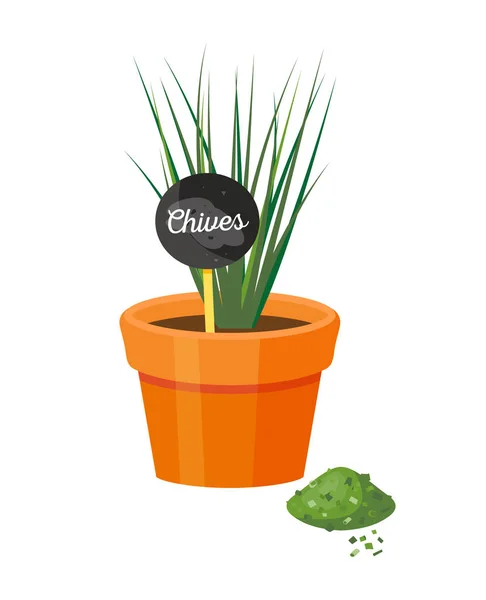 Chives Pot Dry Powder Herbal Plant Green Text Label Ground — Image vectorielle