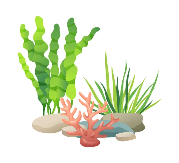 Stones Green Vegetation Set Plants Seaweeds Sea Oceans Used Decorate - Stok Vektor