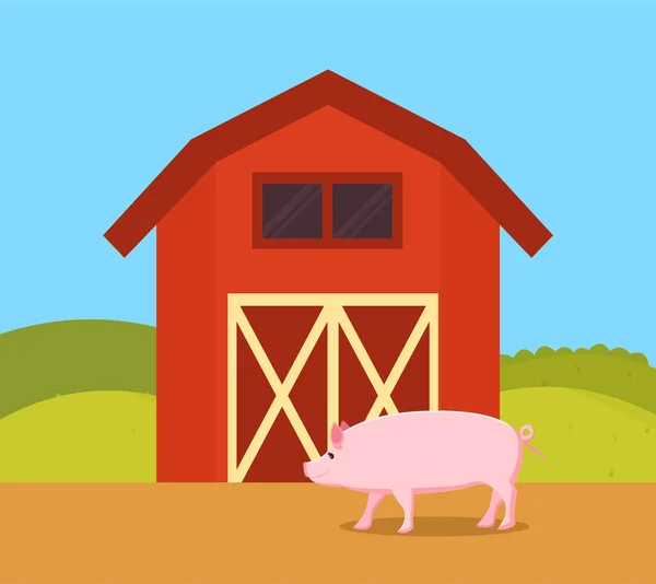 Pig Nature Farm Ranch Red Barn Place Swine Live Livestock — Image vectorielle