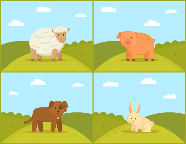 Farm Domestic Animal Dog Pig Curly Sheep White Rabbit Green — Archivo Imágenes Vectoriales