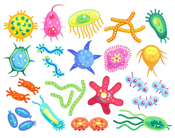 分离出链球菌和葡萄球菌 螺旋体和星形扁平细菌类型 小危险的细菌品种卡通矢量插图 — 图库矢量图片