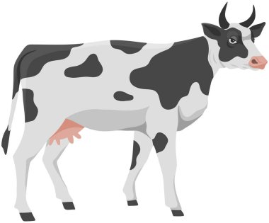 Benekli inek, evcil çiftlik hayvanı. Memeli ve boynuzlu Kine, sığır, memeli vektör çizimi. Çiftçilik, hayvancılık ve çiftlik hayvanı yetiştiriciliği. Et ve süt üretimi için evcilleştirilmiş çiftlik ineği
