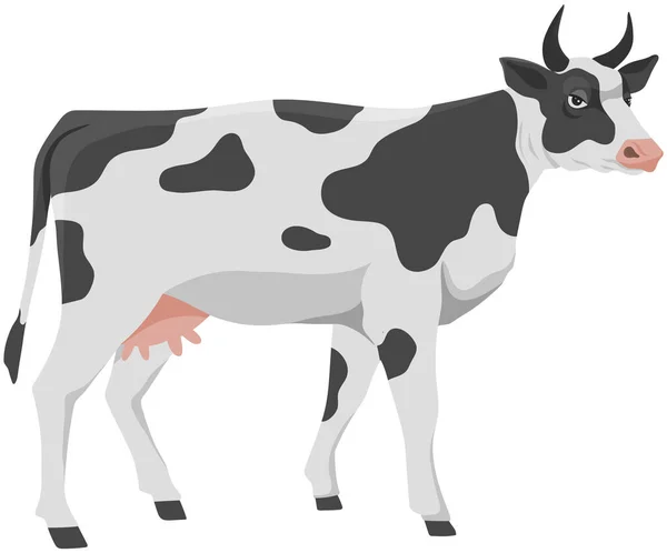Vaca Manchada Animal Doméstico Granja Nueve Con Ubre Cuernos Ganado — Vector de stock