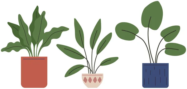 带有白色背景隔离的家庭植物的盆栽 陶瓷盆中长叶装饰绿色植物的病媒花盆 室内植物的概念国内绿化 家用室内植物的图标 — 图库矢量图片