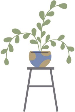 Beyaz arka planda izole edilmiş saksı. Seramik kapta uzun yapraklı dekoratif yeşil bitki saksısı. Yurt içi yeşillik kavramı. Ev içi tesis simgesi