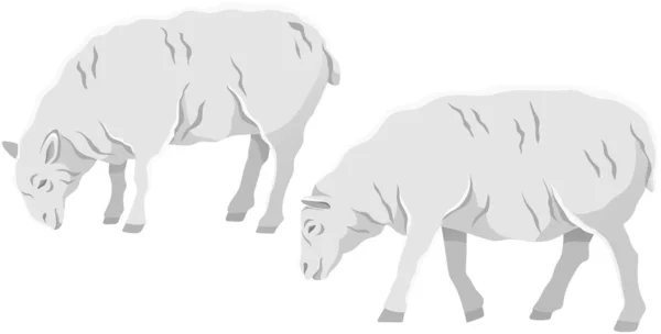 Navio Branco Animal Doméstico Cordeiro Com Ilustração Vetorial Mamíferos Ruminantes —  Vetores de Stock