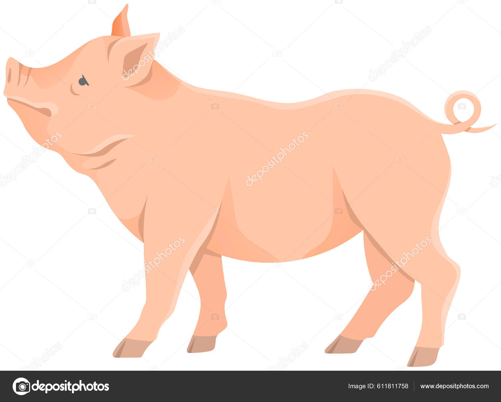 Spotted pink pig munching on grass Royalty Free Vector Image