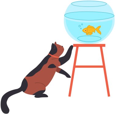 Akvaryum manzarasının yanında oturan sevimli çizgi film kedisi. Kedi, kedi yavrusu, akvaryumda balıkla oynayan evcil hayvan. Evde tasması olan tüylü bir arkadaş. Hayvanlara bakmak, evcil hayvan konsepti