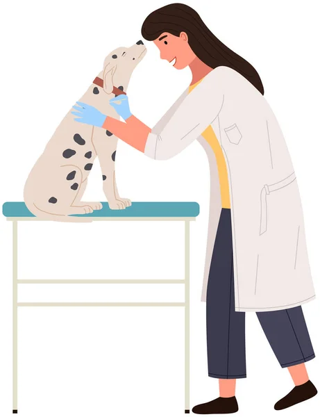 年轻的高加索兽医在医院给狗做检查 兽医检查狗的心跳 药物和宠物护理的概念 兽医治疗宠物 家畜医疗中心 — 图库矢量图片