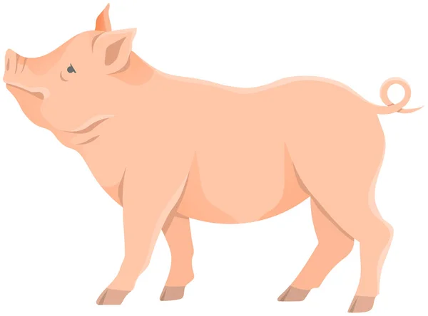 Różowa Świnia Domowe Zwierzę Gospodarskie Świnka Lub Świnia Ilustracja Wektora — Wektor stockowy