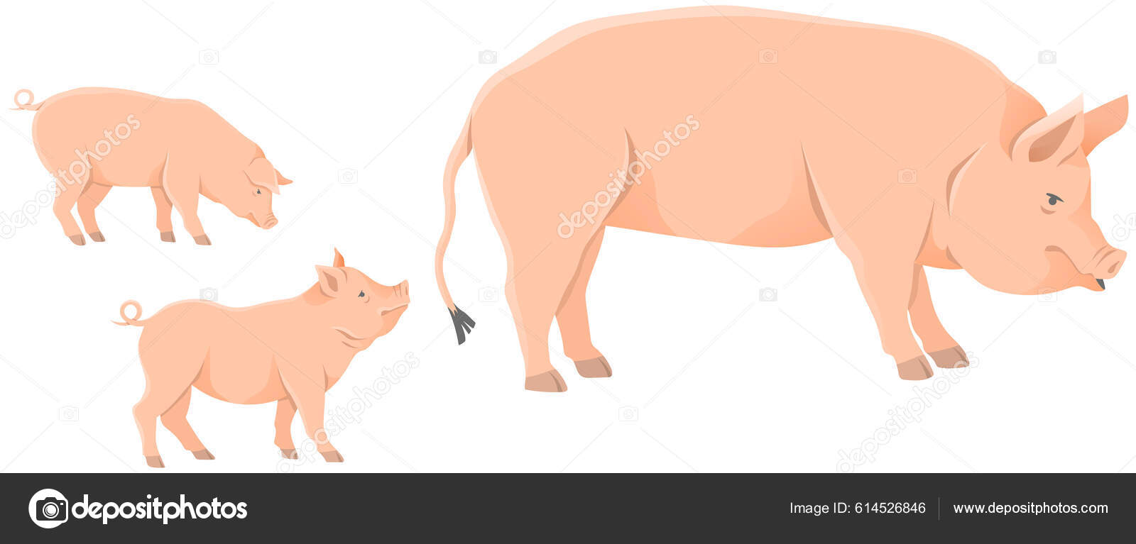 Spotted pink pig munching on grass Royalty Free Vector Image