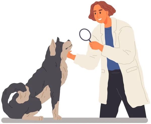 Ветеринар Осматривает Собаку Больнице Ветеринар Проверяет Здоровье Хаски Лупой Клинике — стоковый вектор