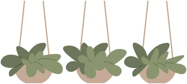 House Plants Home Houseplant Flowerpot Decorative Botanical Floral Hanging Basket — Stock Vector