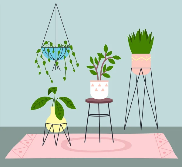 Decoración Para Habitación Decorativas Diferentes Plantas Interior Que Crecen Macetas — Vector de stock