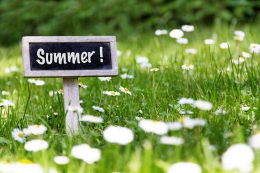 Çayırda yaz tabela
