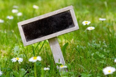 açısal çayırda boş tabela