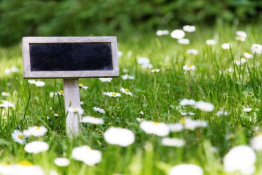 Çayırda boş tabela