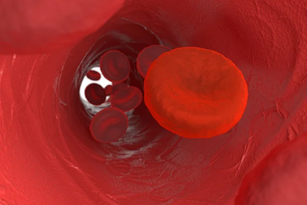 Visão microscópica do sangue — Fotografia de Stock