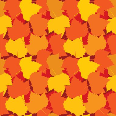 sorunsuz geçmiş sonbahar yaprakları