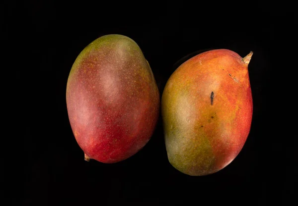 Twee hele mangovruchten op een zwarte achtergrond. Rijp exotisch fruit, close up. — Stockfoto