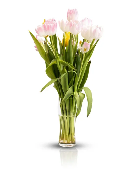 Różowe Żółte Tulipany Szklanym Wazonie Izolowane Bukiet Piękny Jasny Pastelowy Zdjęcia Stockowe bez tantiem