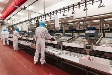 Meat processing plant. Workers wearing protective clothing segregating the cut pieces of meat, horizontal view.