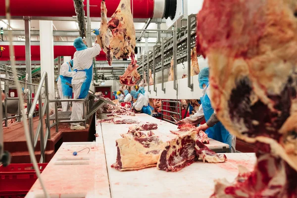 Meat processing plant. Workers wearing protective clothing cutting beef meat, selective focus, horizontal view.
