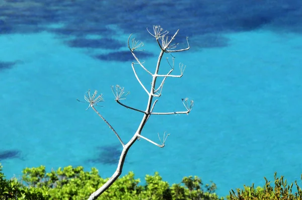 Italské ainara národní park — Stock fotografie