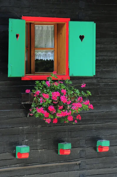 Fenster mit Blume — Stockfoto
