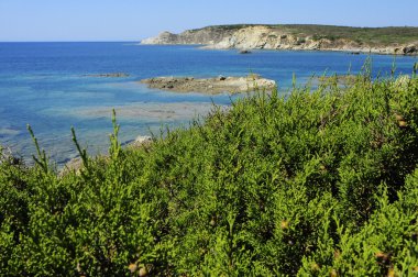 Stintino plajda kayalar