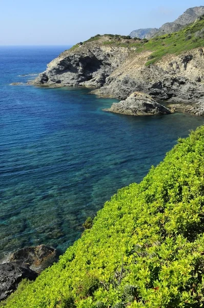 Skały na plaży Stintino — Zdjęcie stockowe