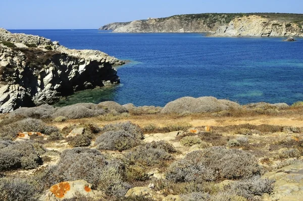 Rochers sur la plage de Stintino — Photo