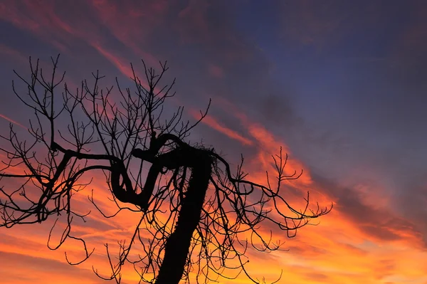 Hermosa puesta de sol — Foto de Stock