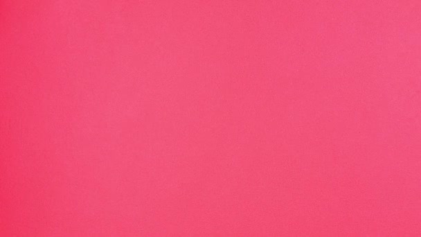 Hand Posiada Euro Rachunki Pieniężne Tle Różowego Koloru Licząc Gotówkę — Wideo stockowe